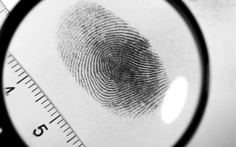 A fingerprint under a magnifying glass next to a ruler on white paper, highlighting the detailed ridges and patterns for forensic analysis.