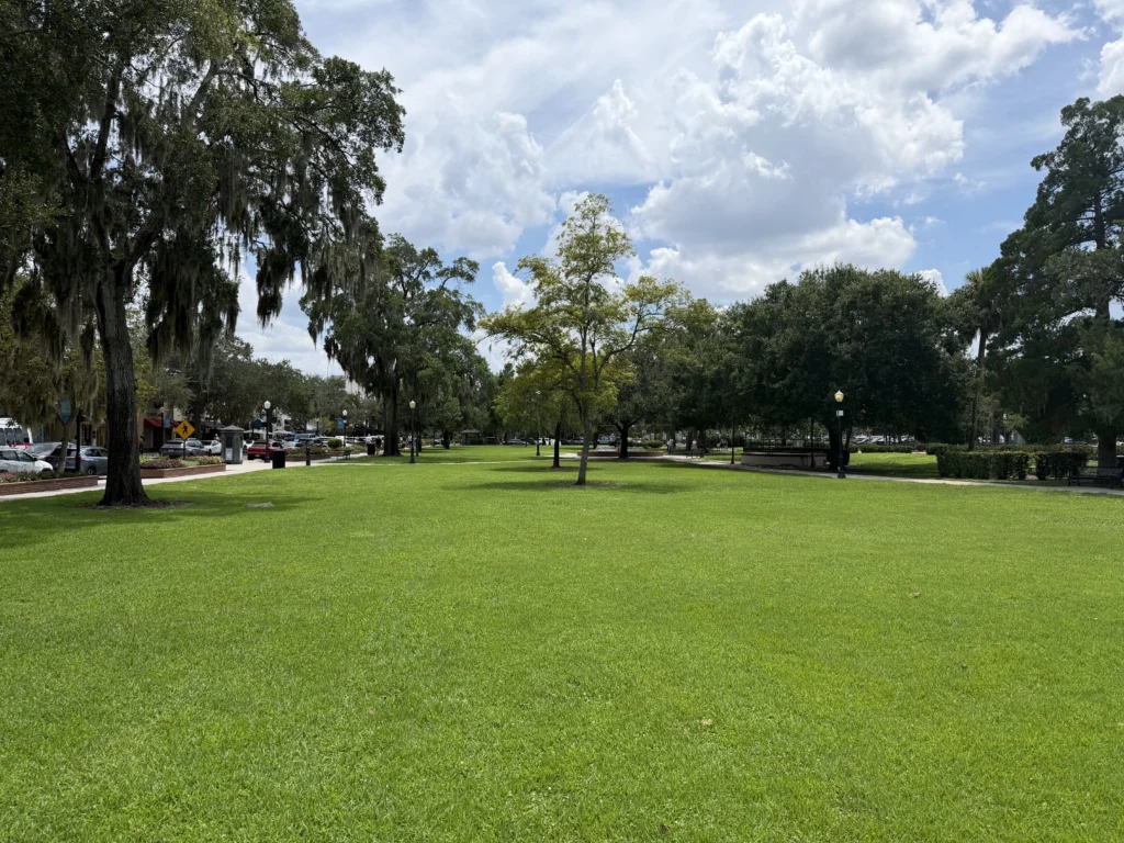 A large, open green park with scattered trees, a sidewalk, parked cars, and partly cloudy skies overhead.